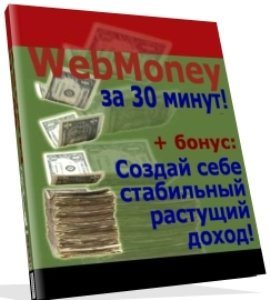 WеbMoney 3а 30 минут