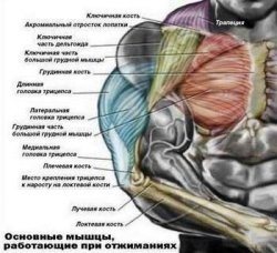 Идеальная методика подъема физических возможностей