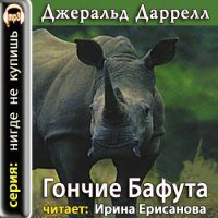 Гончие Бафута