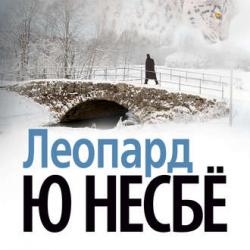 Инспектор Харри Холе 8. Леопард , Иван Литвинов]